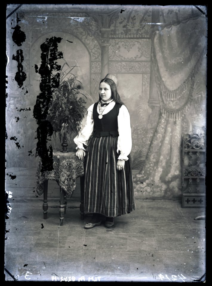 Heinrich Tiidermann - Rahvariides neiu Tallinnast