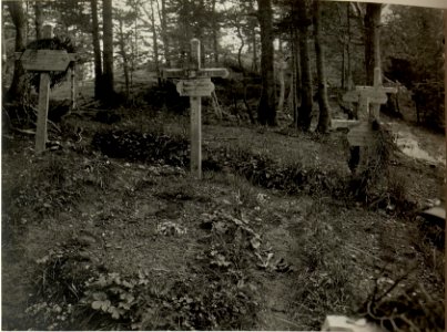 Heldebfriedhof am VRSIC. Aufgenommen am 4.Juli 1916. (BildID 15478962)