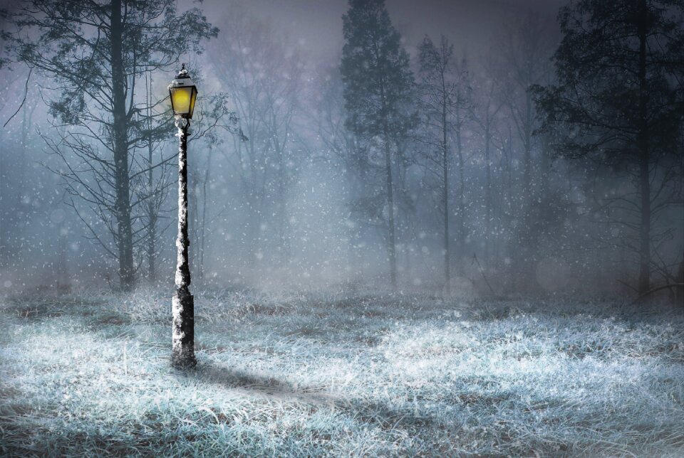 Woods lamp lamp light