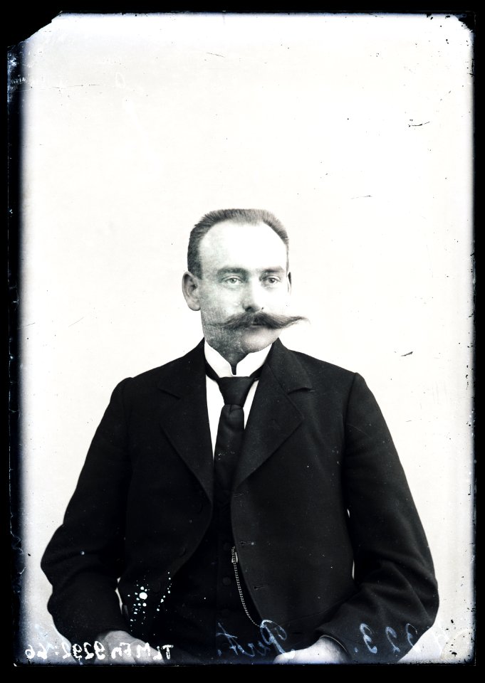 Heinrich Tiidermann - Vuntsidega mehe poolportree