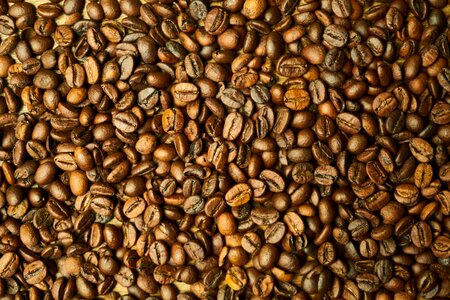 Kernels table good morning