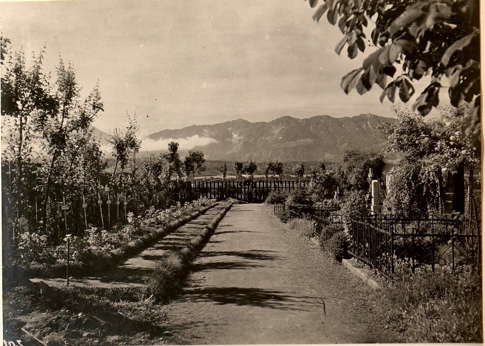 Heldenfriedhof in Villach. aufgenommen am 1. Juli 1916. (BildID 15476812)