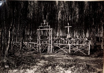 Heldenfriedhof Lir.28.bei Stanislau. (28-III.1918.) (BildID 15714084)