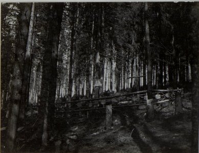 Heldenfriedhof des Füsilier Baons.Gren.Reg.3 (BildID 15453459)