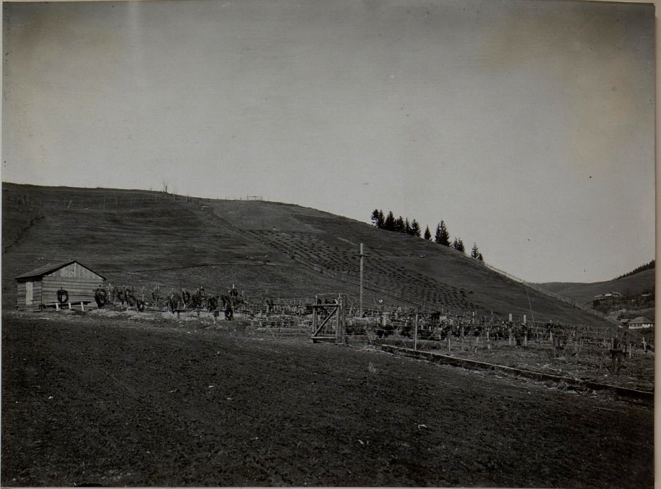 Heldenfriedhof in Jakobeny (BildID 15453214)