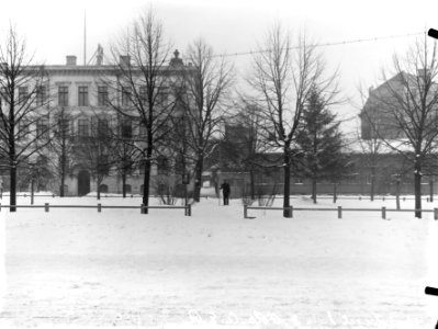 Helsinki 1900, Lönnrotin puistikko 3. Lönnrotinkatu. - N1163 - hkm.HKMS000005-km0000mfns