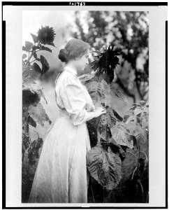 Helen Keller, three-quarter length portrait, standing in garden amid sunflowers, facing right LCCN90715104