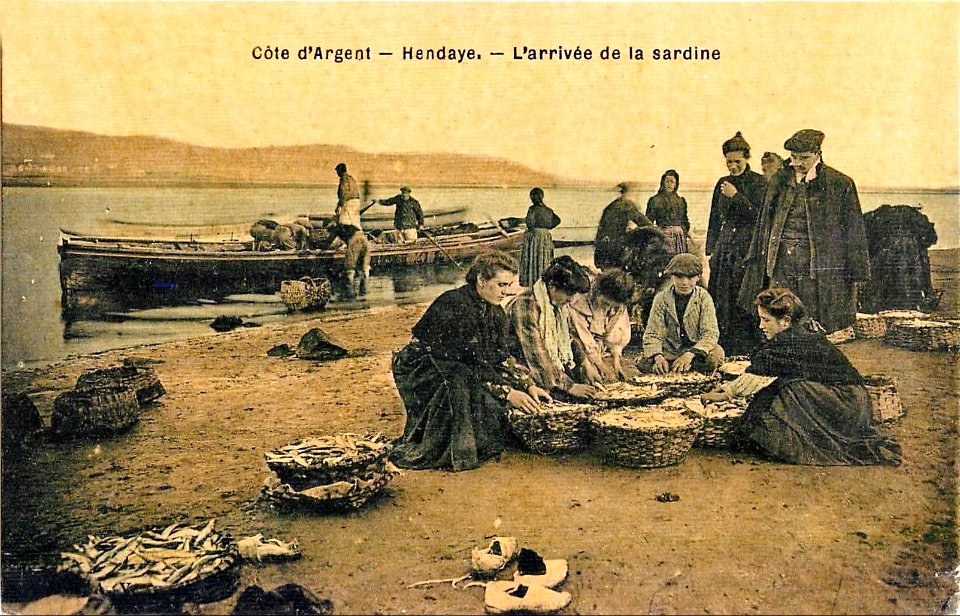 Hendaye - Arrivée de la sardine