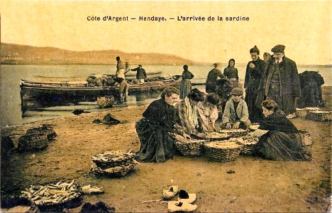 Hendaye - Arrivée de la sardine