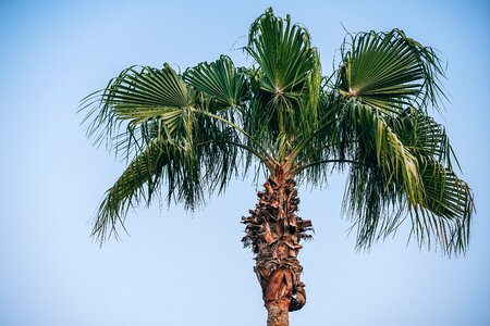 Beach bio blue photo