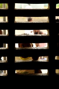 Help arrives in Haiti DVIDS119017