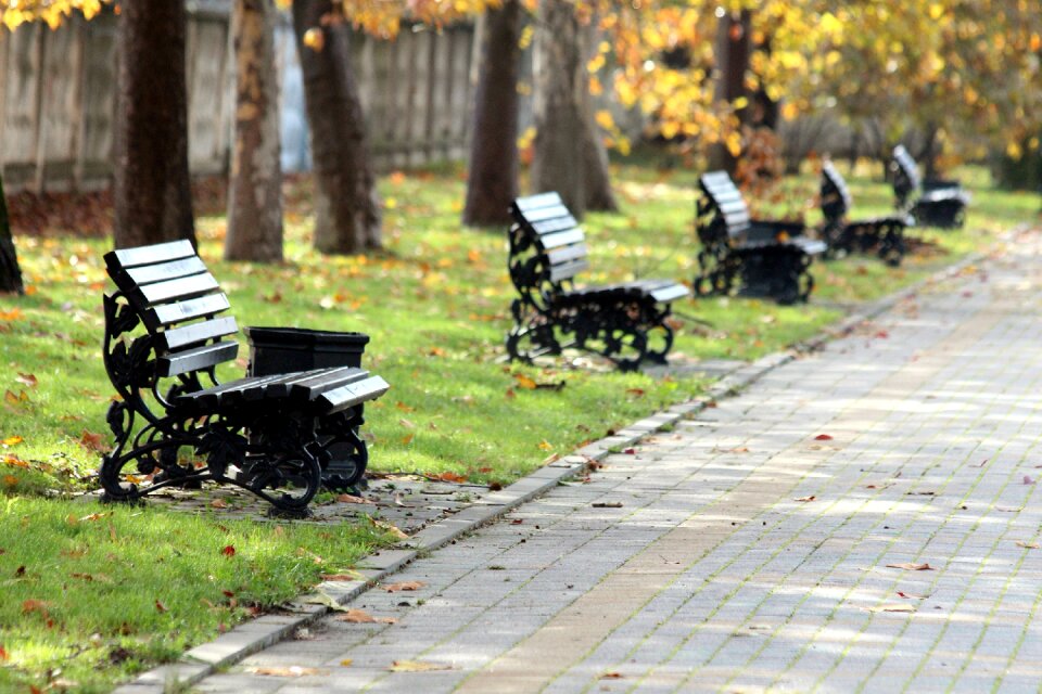 Outdoors pavement paving stone