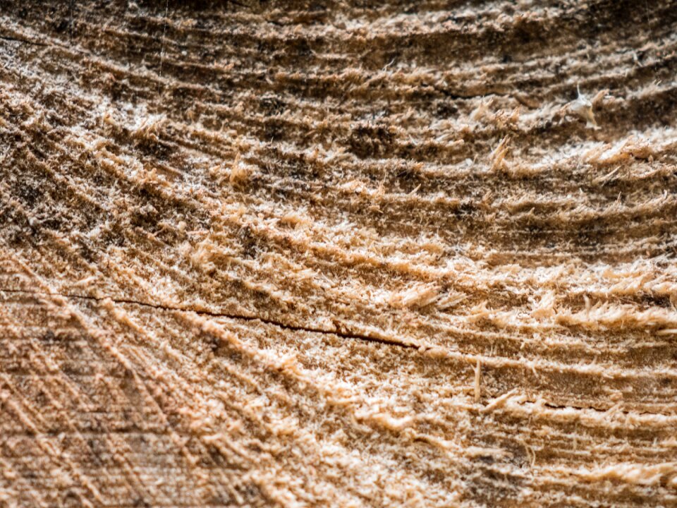 Surface close up grain