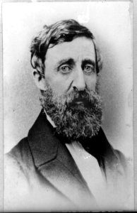 Henry David Thoreau, head-and-shoulders portrait, facing slightly right LCCN95513963