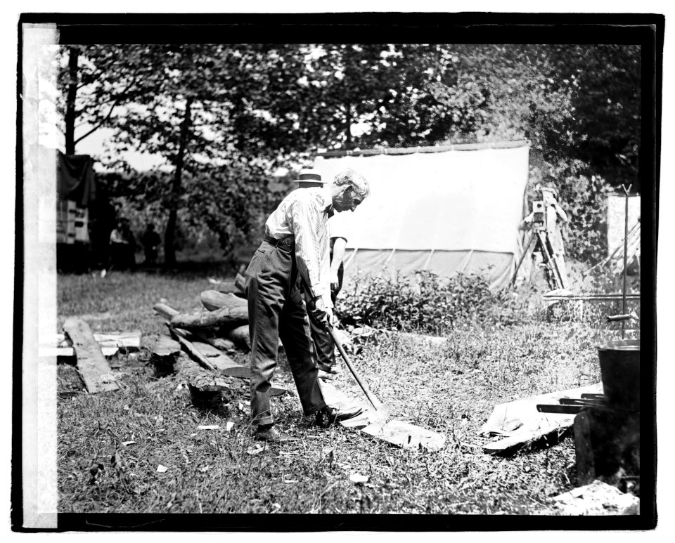 Henry Ford chopping wood LOC npcc.04714