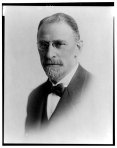 Henry Morgenthau, head-and-shoulders portrait, facing slightly left LCCN99404528