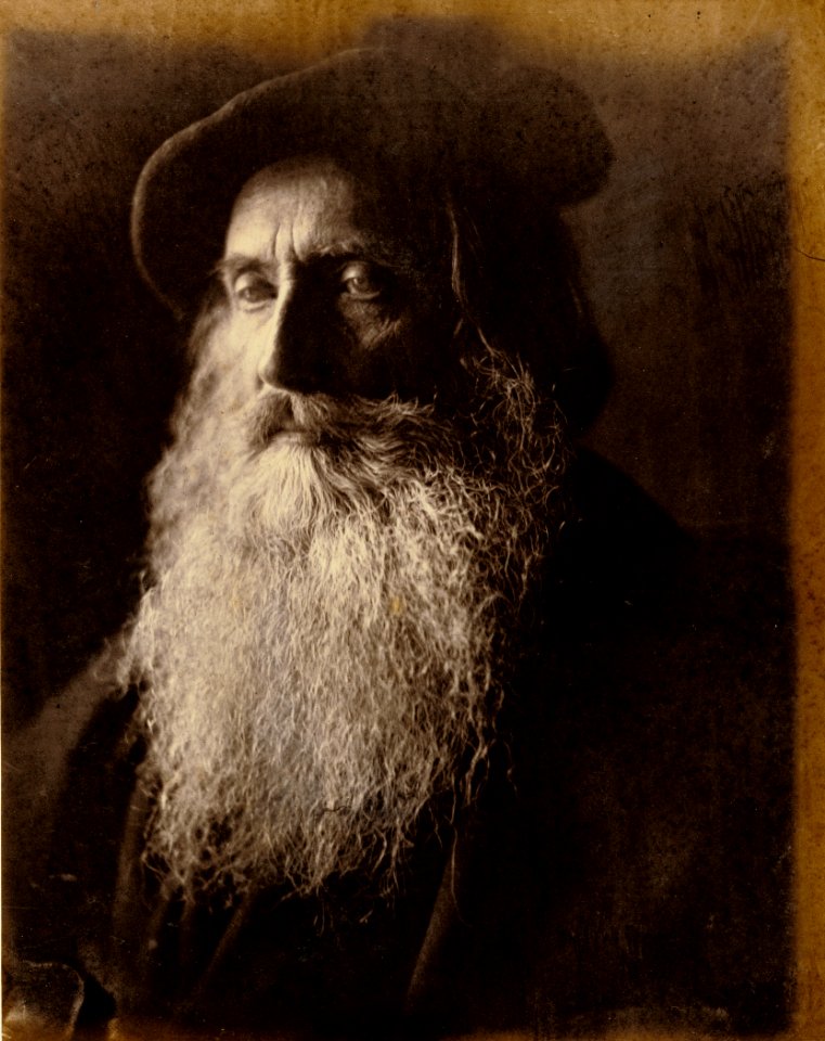 Henry Taylor, by Julia Margaret Cameron, Getty Museum