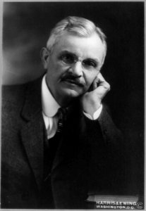 Henry Wilson Temple, 1864-1955 LCCN2002698340