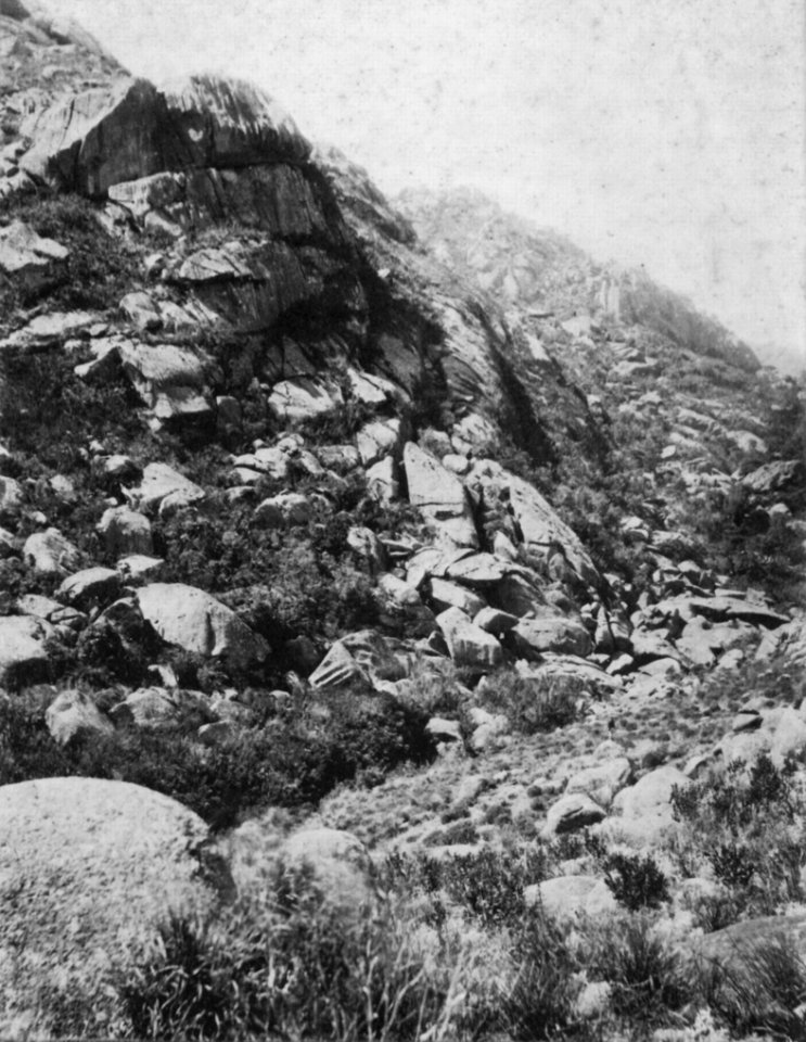 Henschel, Alberto - Am Fuß der Agulhas Negras (Zeno Fotografie)