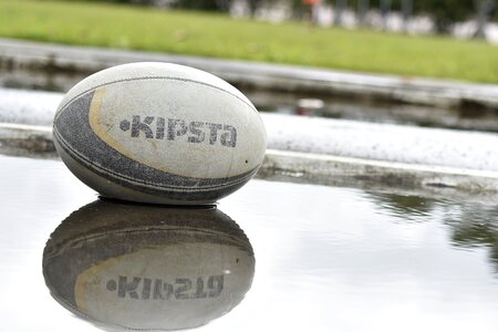 Field grass sport