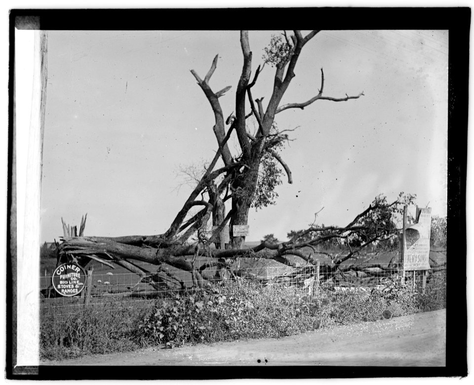 Herald Tour, Staunton LCCN2016828807 photo