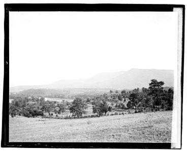 Herald Tours, Luray, VA LCCN2016828472