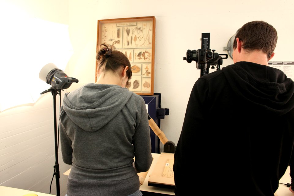 Herbarium making of-IMG 6744