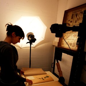 Herbarium making of-IMG 6750