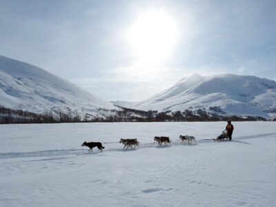 Race sleds dog sled race