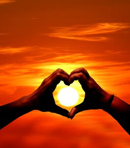 Love shape nature
