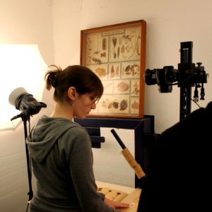 Herbarium making of-IMG 6745