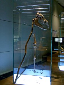 Herne Archäologiemuseum89827