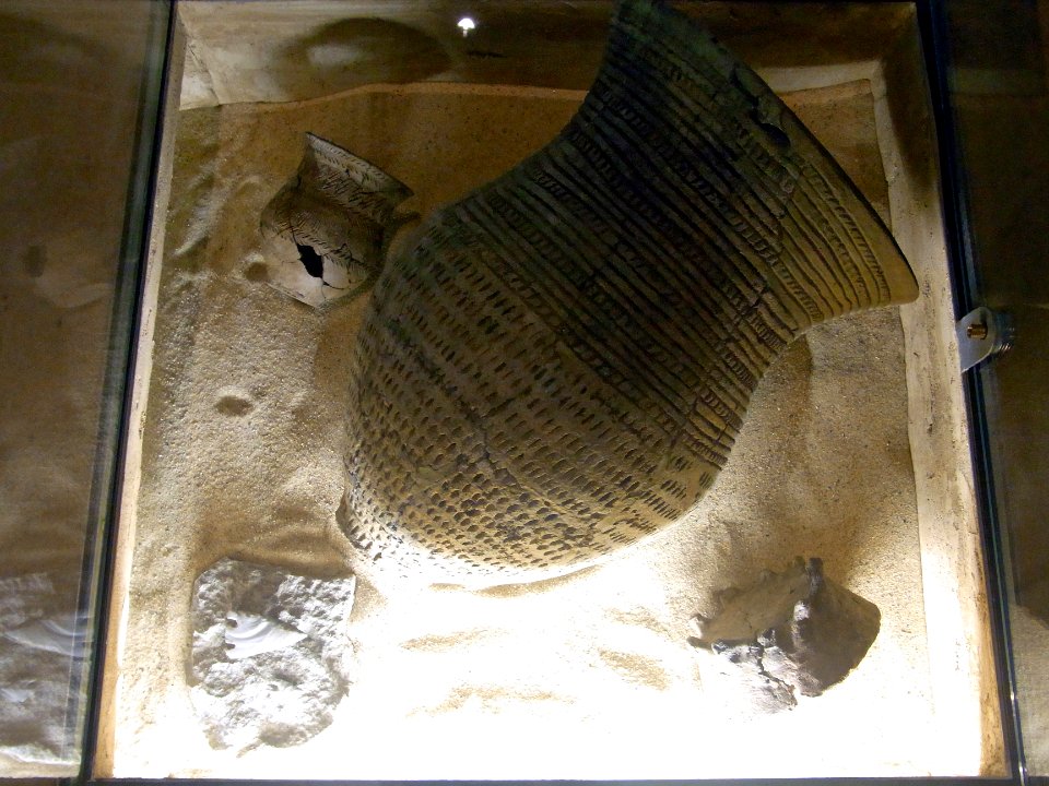 Herne Archäologiemuseum127571