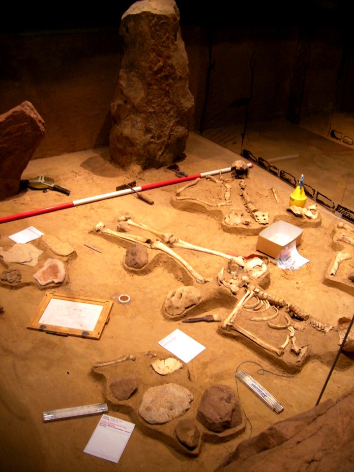 Herne Archäologiemuseum3037