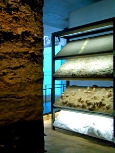 Herne Archäologiemuseum89851