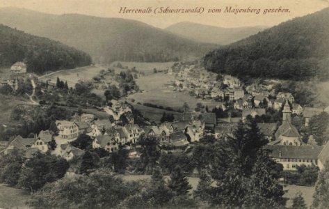 Herrenalb, Baden-Württemberg - Stadtansicht vom Mayenberg (Zeno Ansichtskarten)