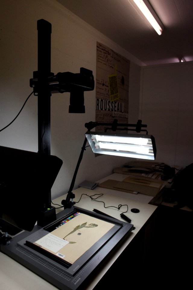 Herbarium making of-IMG 6758