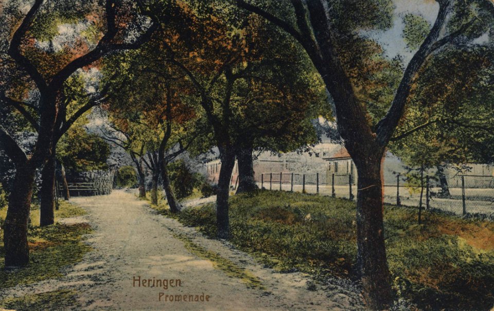 Heringen (Werra), Hessen - Promenade (Zeno Ansichtskarten)
