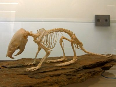 Herne Archäologiemuseum127603