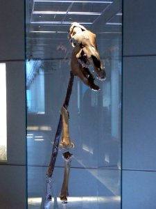 Herne Archäologiemuseum89823