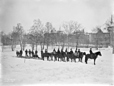 Hevosvetoinen lumiaura Kaivopuistossa Isolla Puistotiellä - N181 (hkm.HKMS000005-000000up)
