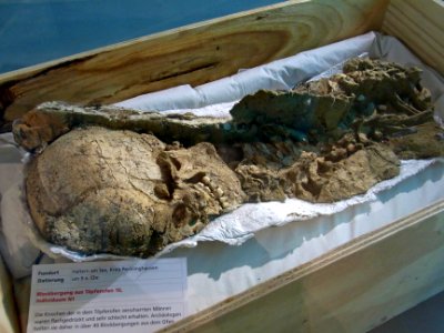 Herne Archäologiemuseum108894