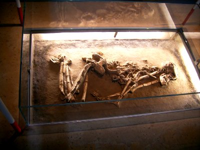 Herne Archäologiemuseum3034