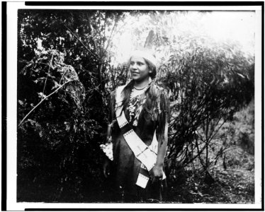 Hiawatha. With him dwelt his dark-eyed daughter LCCN91705089