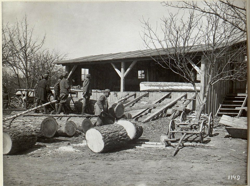 Herstellung von Deichseln für Fuhrwerke der 4. k.u.k. Armee in Galizien (BildID 15684962)