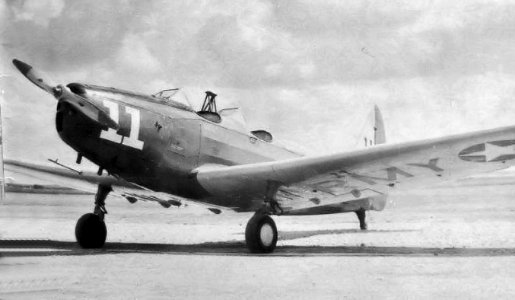 Hicks Field - Fairchild PT-19 Closeup