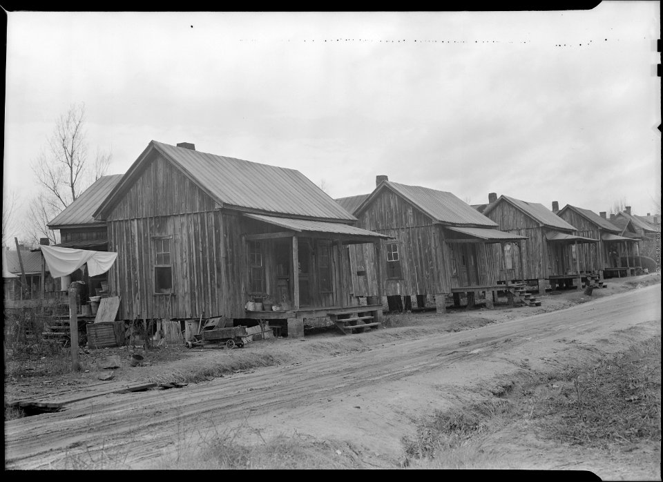 High Point, North Carolina - Housing. Row of hovels occupied by colored workers from furniture and cotton mills ... - NARA - 518530