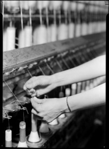 High Point, North Carolina - Textiles. Pickett Yarn Mill. Spinning - Saco-Lowell machine - showing hands of woman in... - NARA - 518513