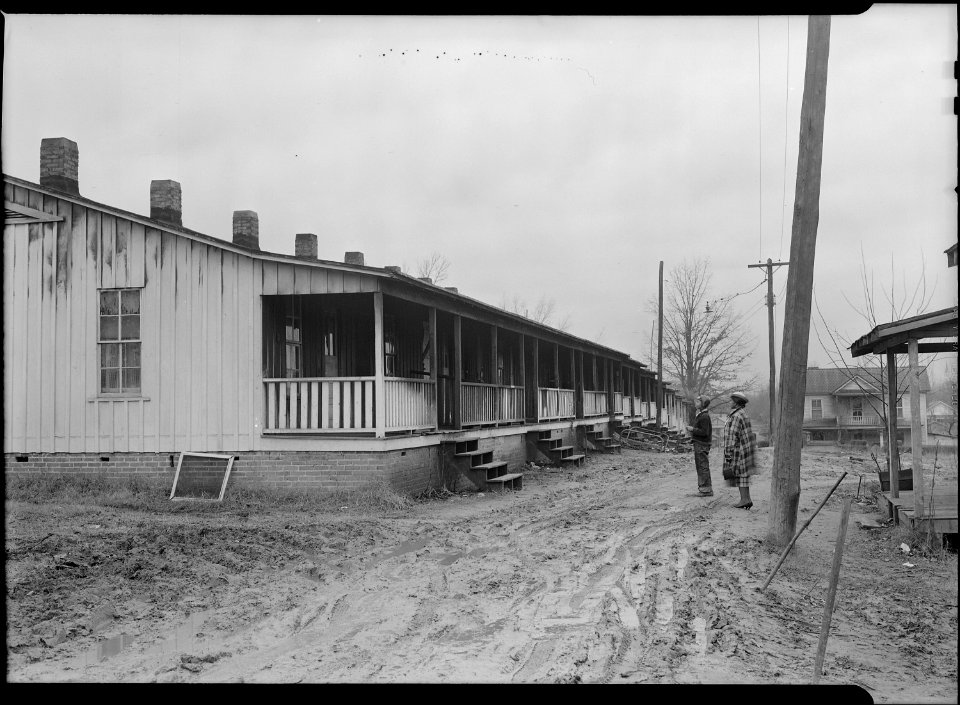 High Point, North Carolina - Housing. Row of shacks occupied by colored textile and furniture workers - High Point... - NARA - 518533