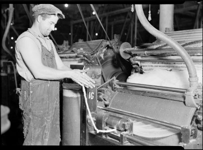 High Point, North Carolina - Textiles. Pickett Yarn Mill. Cards - piecing up ends card operative - showing man and... - NARA - 518505 photo